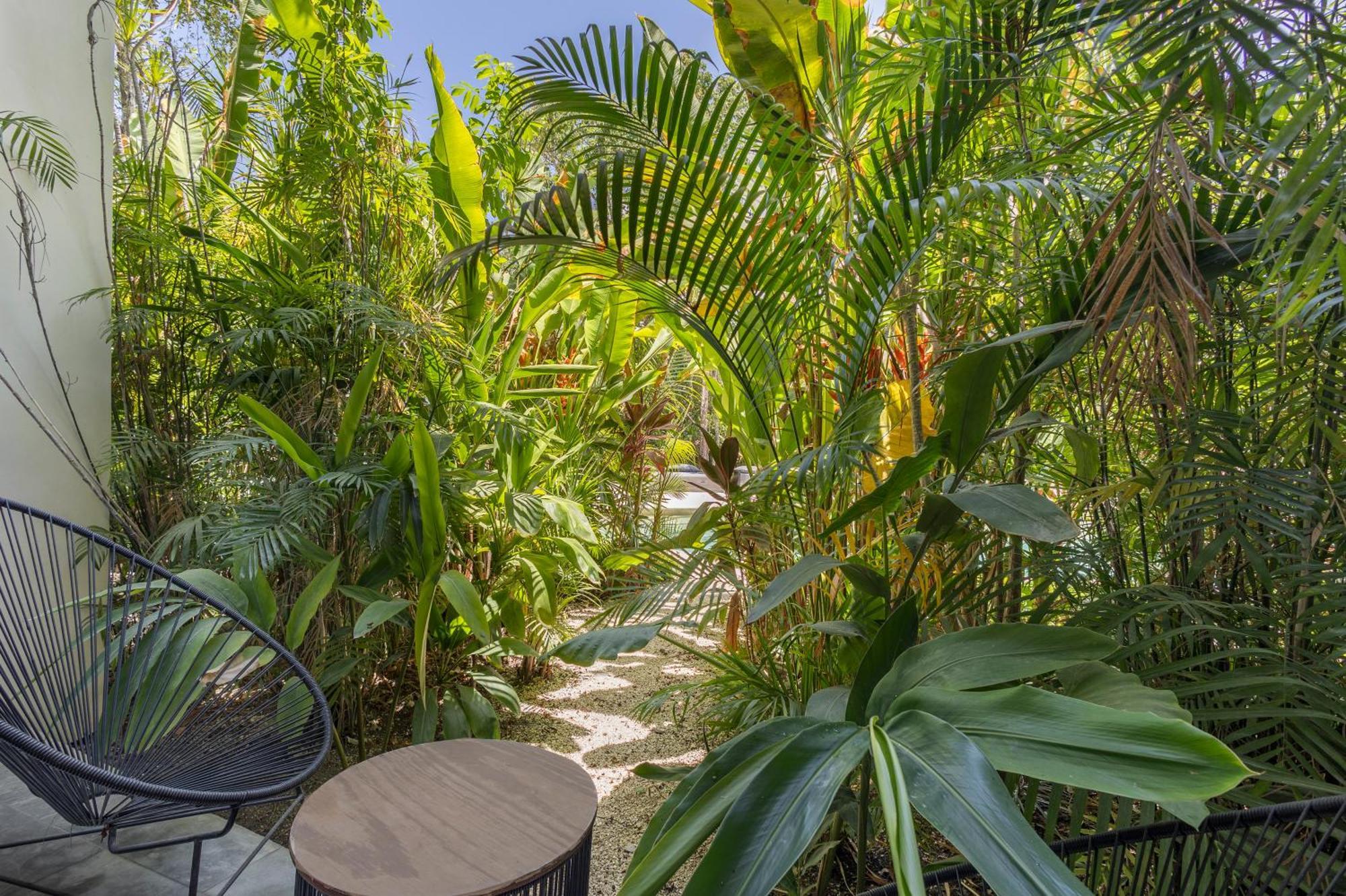 Апартаменти Mistiq Gardens Тулум Екстер'єр фото